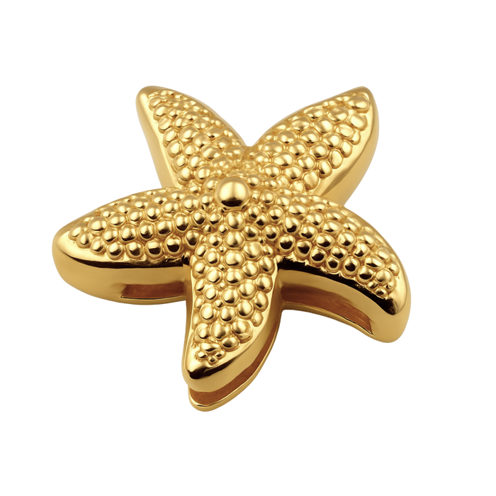 Charm Seestern