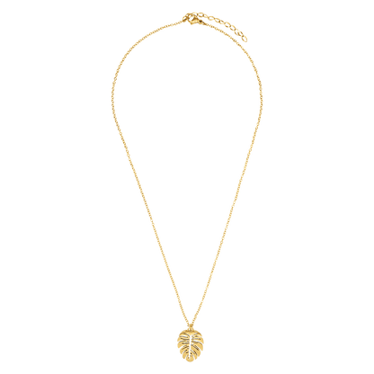 Kette Folium
