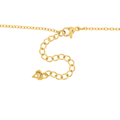 Kette Evius