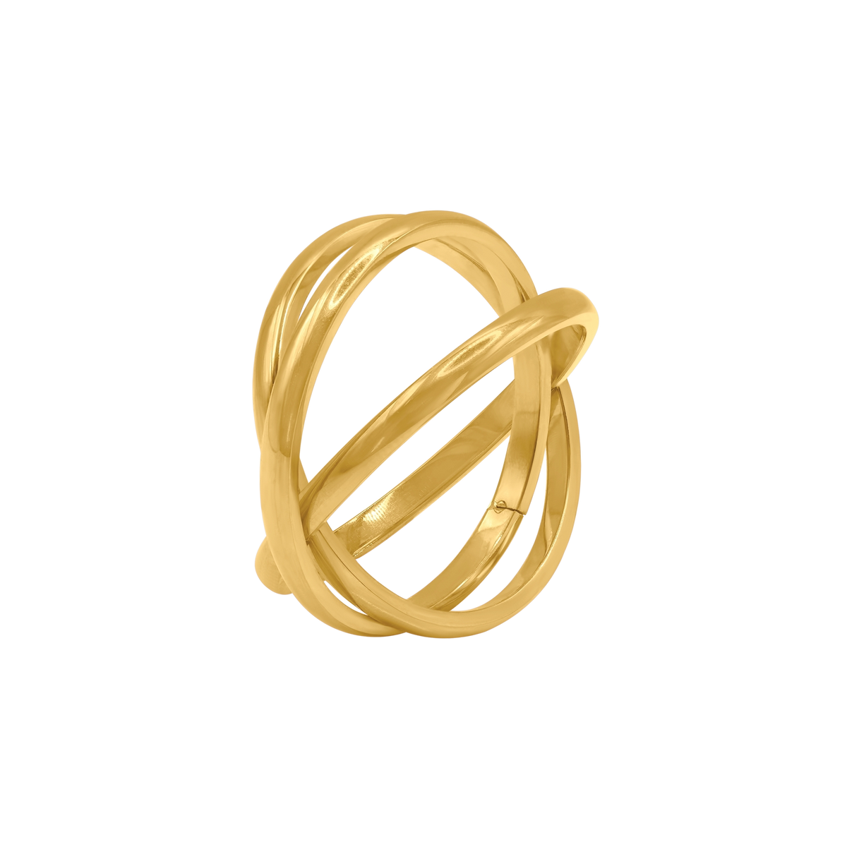 Ring Loris