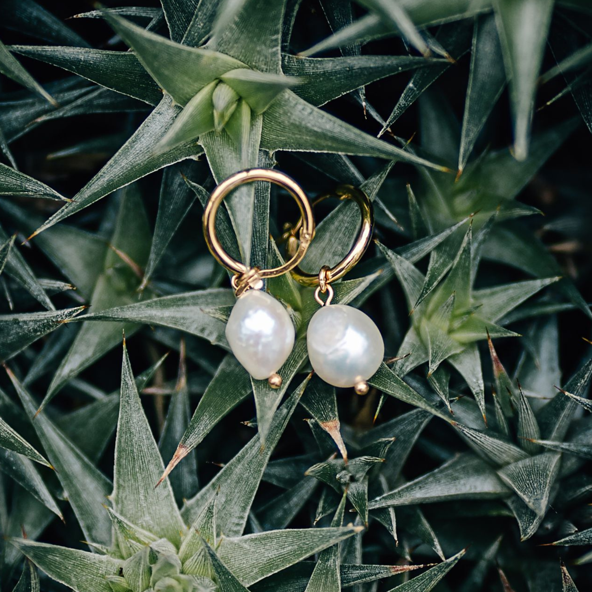 Entdecke trendigen Perlenschmuck
