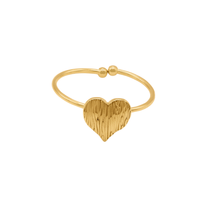 Ring Minnea