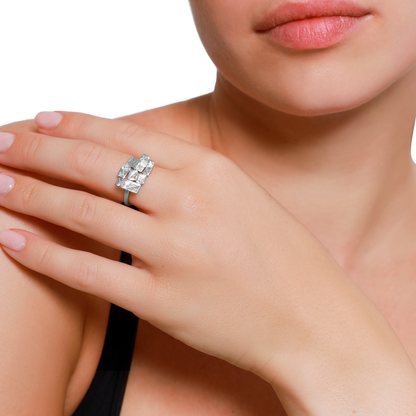 Ring Partis S