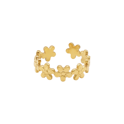 Ring Alira