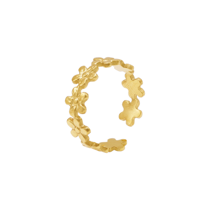 Ring Alira