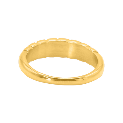 Ring Naso