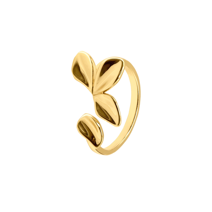 Ring Anara