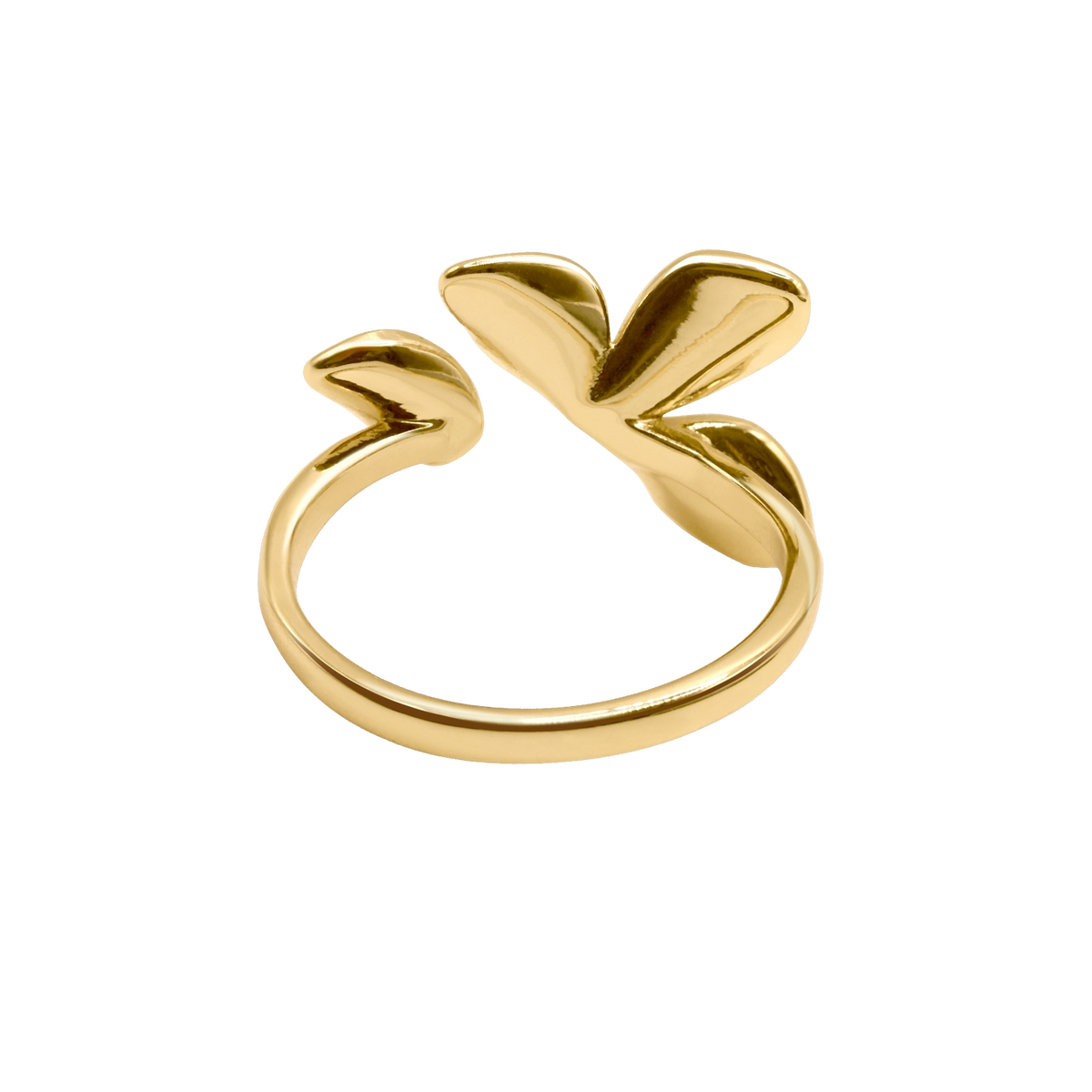 Ring Anara