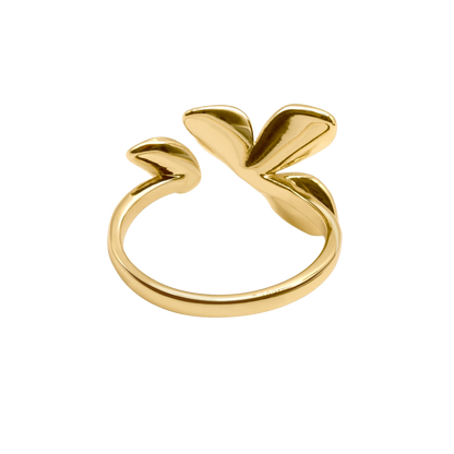 Ring Anara