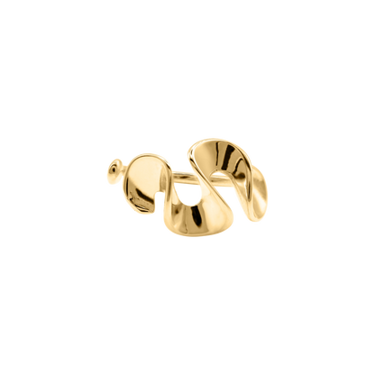 Ring Rumi