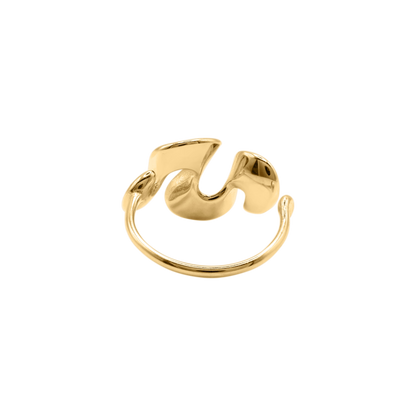 Ring Rumi