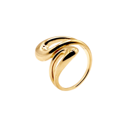 Ring Lawan