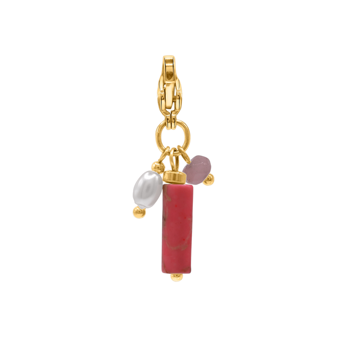 Charm Enisa