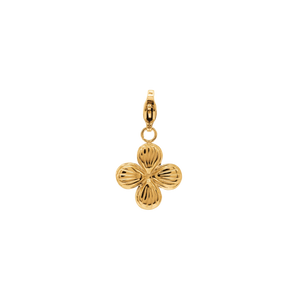 Charm Jonida